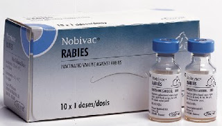 Cat Detox After Rabies Vaccination biology write up biology articles the rabies quot meaning Cat Detox After Rabies Vaccination biology write up biology articles the rabies quot meaning