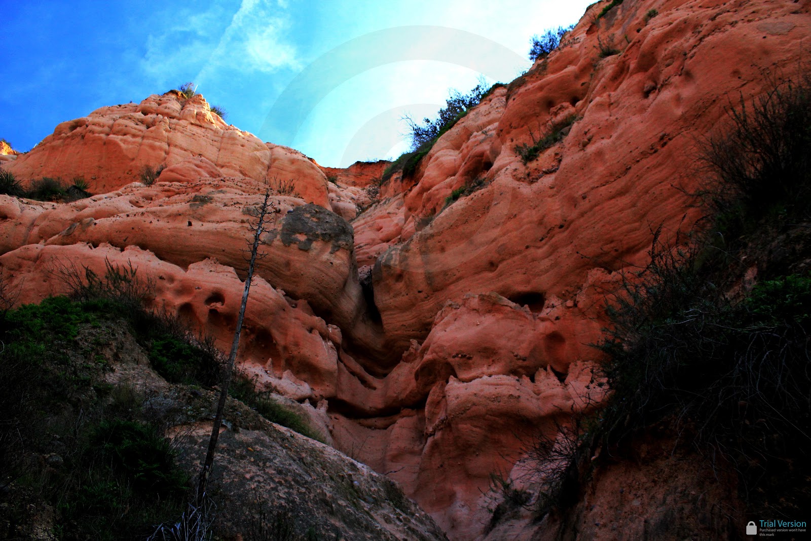 Best Orange County Hikes With Dogs Best Orange County Hikes With Dogs