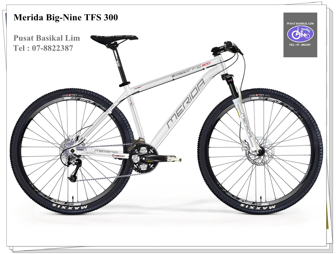 big 9 300