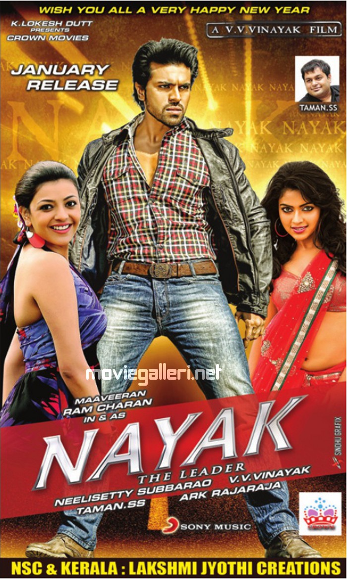 Nayak Telugu Movie Download 720p