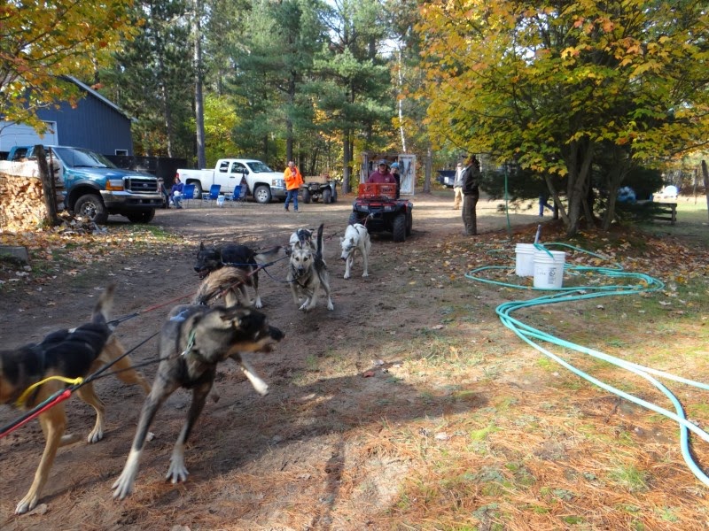 Bruce Peninsula Dog Friendly Bruce Peninsula Dog Friendly