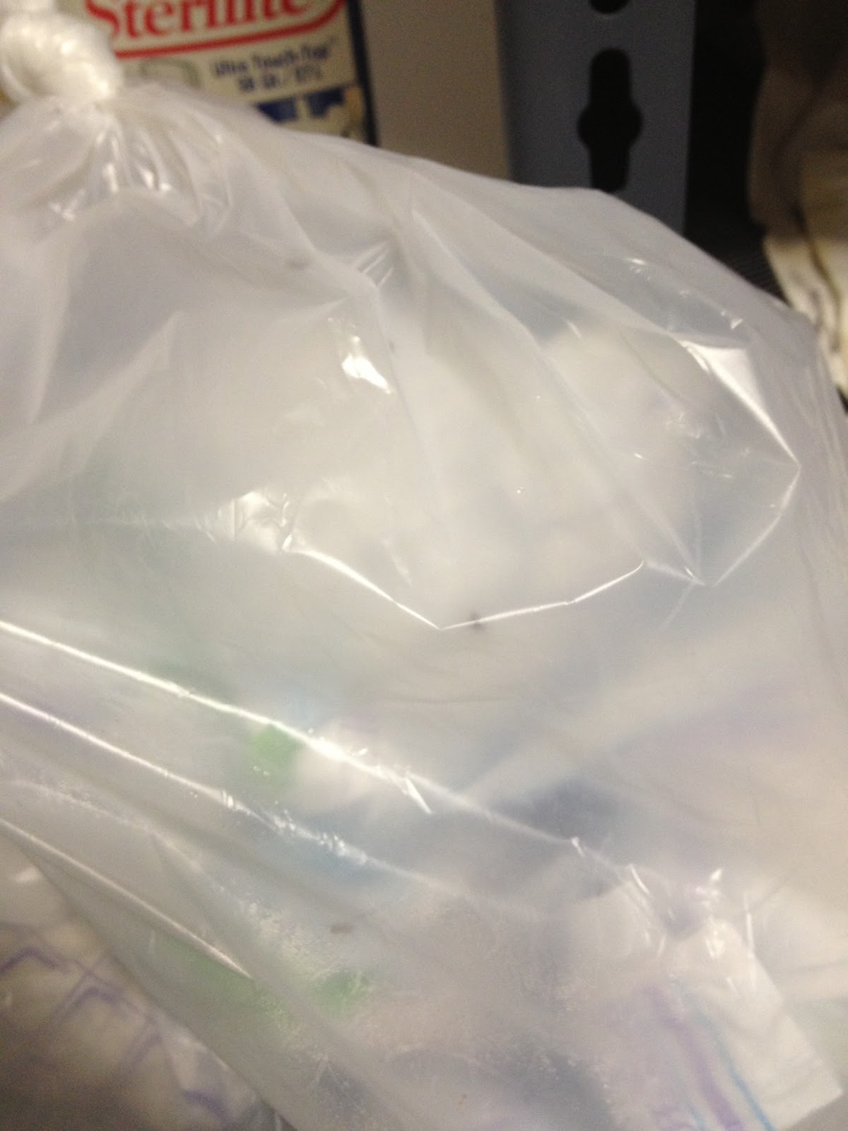 The DIY Guinea Pig Be Gone Diaper Pail Stink