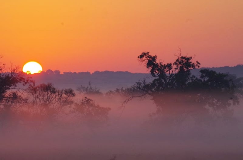 Στη φύση του Τέξας foggy-scenery-photo-08