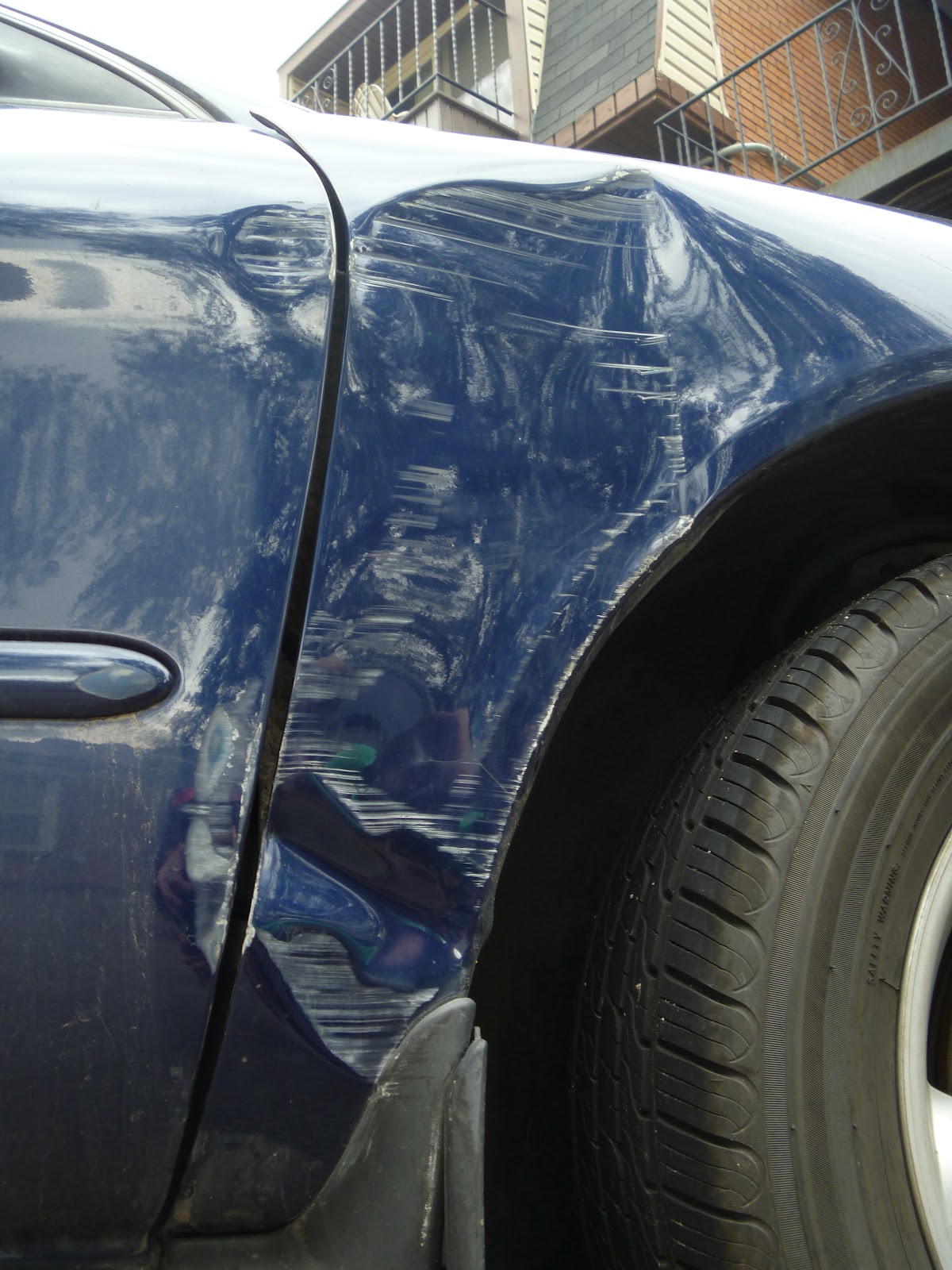 Growing tall in our little Corner Fixing my dented fender