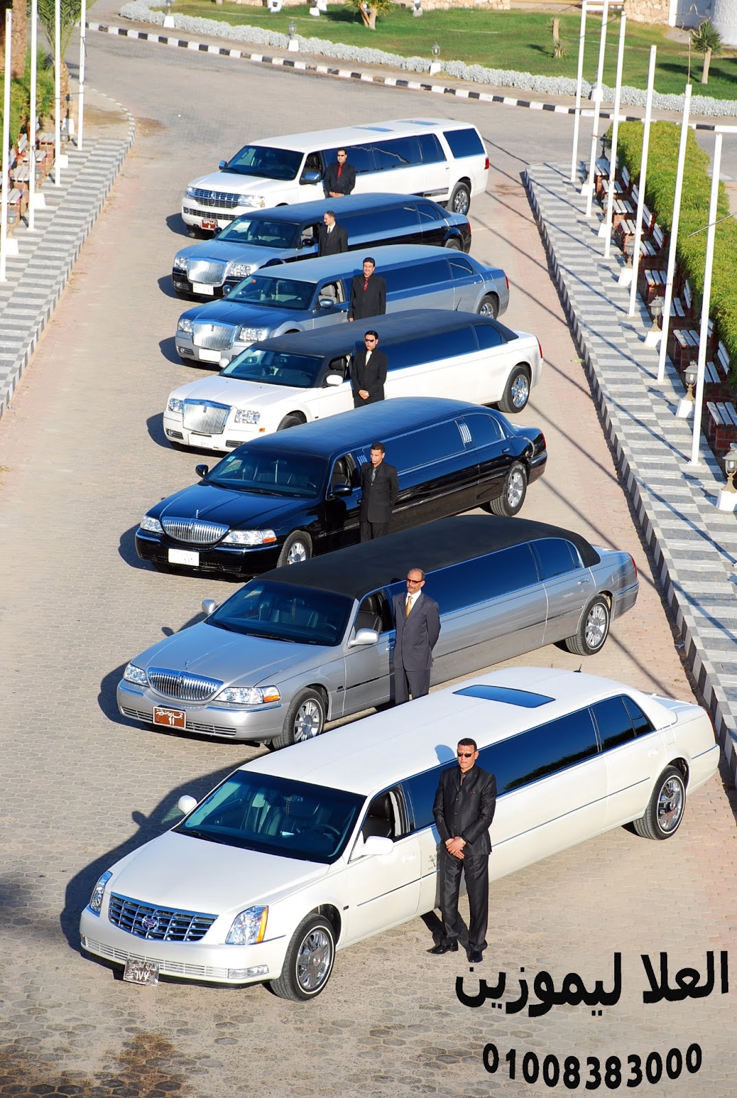 RENTAL LATEST MODELS CARS EGYPT ايجار سيارات مصرشركة العلا للسياحة