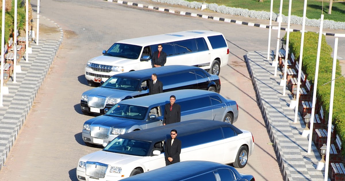 RENTAL LATEST MODELS CARS EGYPT ايجار سيارات مصرشركة العلا للسياحة