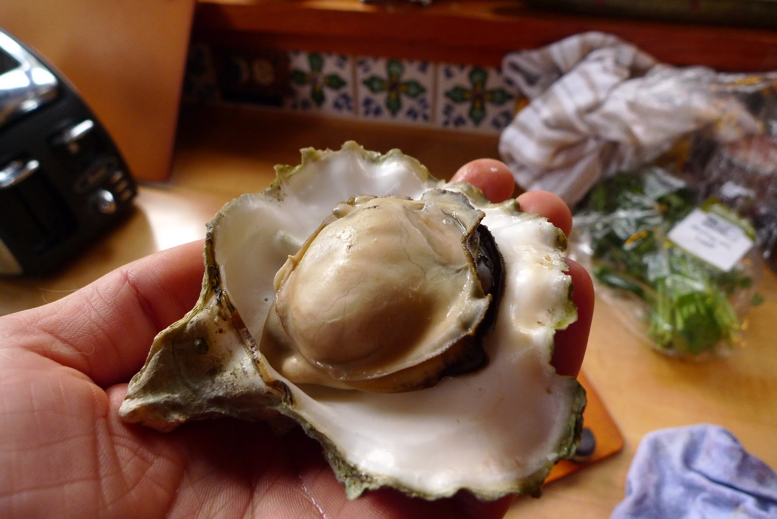 Wild Harvests Galiano Island Oyster Feast