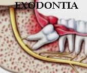 Após a REMOÇÃO de um DENTE