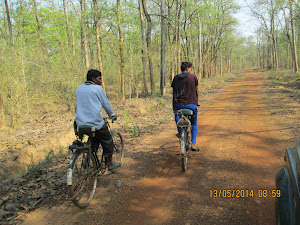 Locals cycling in the "Buffer Zone" of Moharli range .