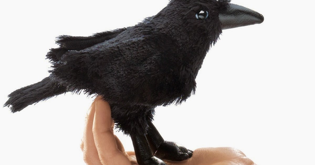 wild republic raven