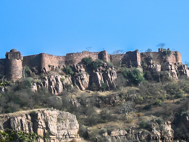 majestic fort in rajasthan