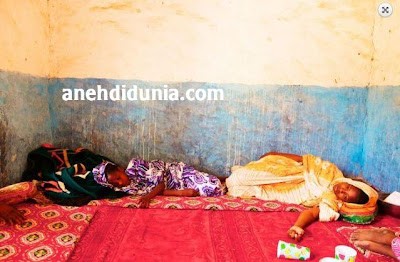 Baca juga Ditemukan Larva Belut Transparan