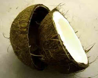health_benefits_of_eating_coconut_fruits-vegetables-benefits.blogspot.com(3) health_benefits_of_eating_coconut_fruits-vegetables-benefits.blogspot.com(3)