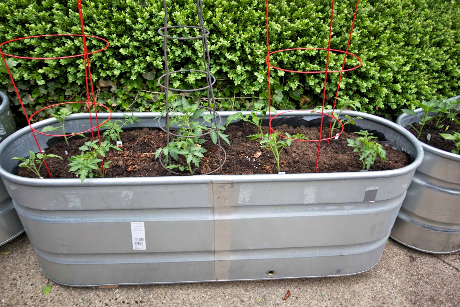 A Tutorial for Raised Bed Gardening in Galvanized Troughs