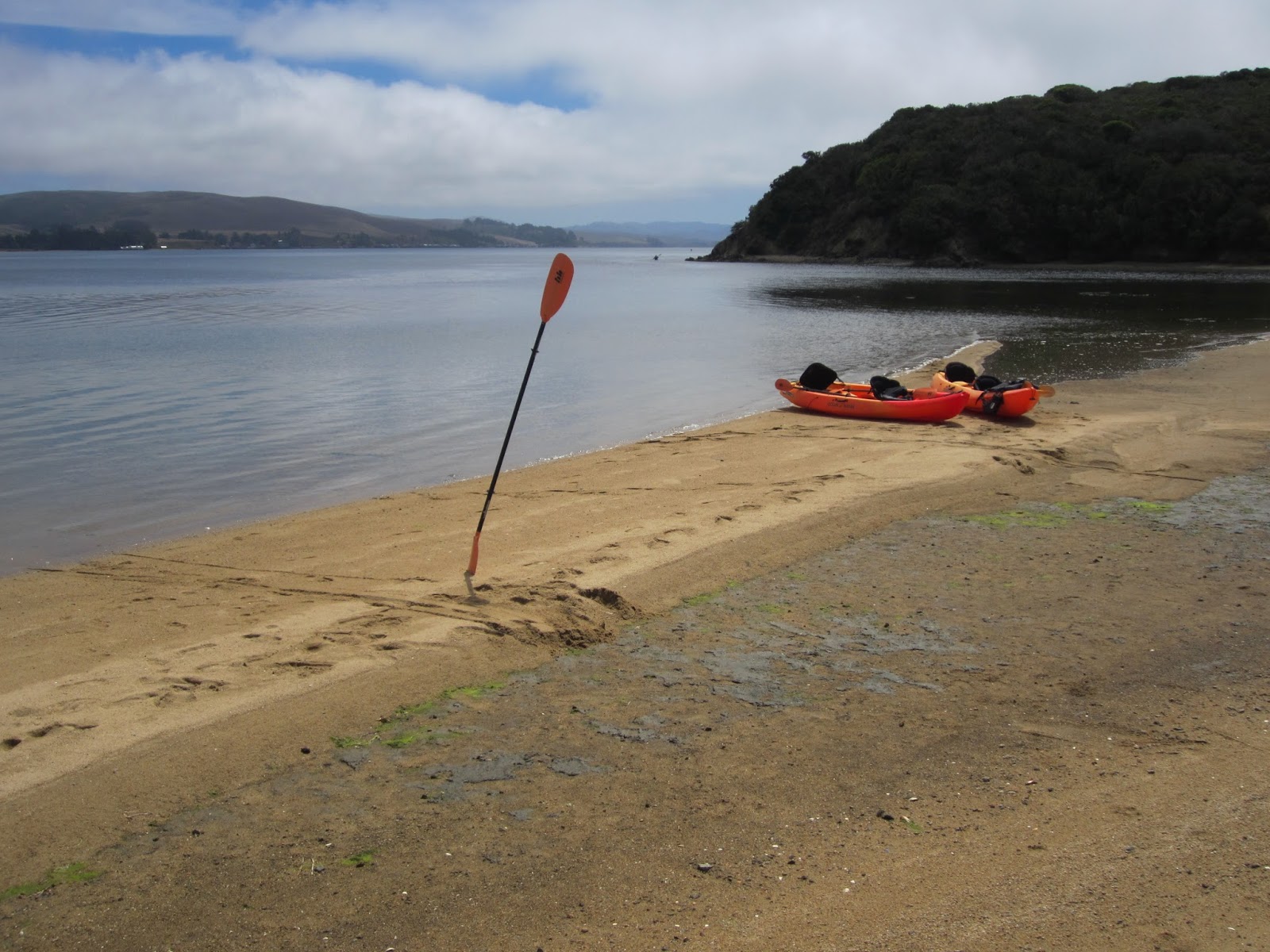 California Coast and Climate Blog Kayak Camping in Tomales Bay