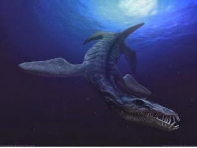 Liopleurodon