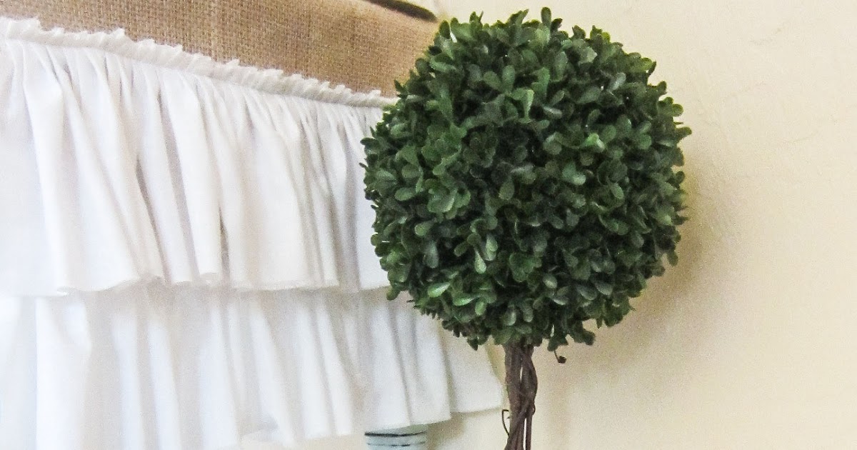 A Good Home A boxwood topiary (and tutorial!)