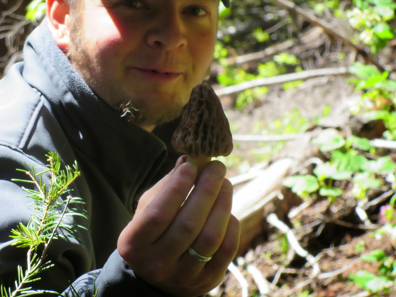 Business Lady by day, Earthy Homesteader by night Morel Hunting