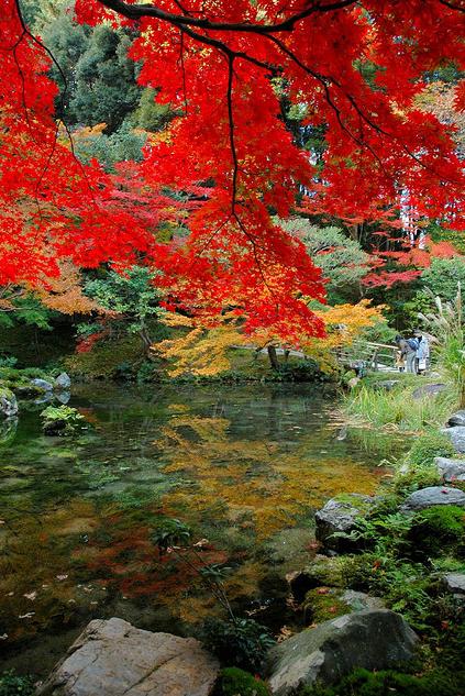 Ảnh Đẹp Lãng Mạn Mùa Thu Kyoto Nhật Bản Anh+Kyoyo+Nhat+Ban+8