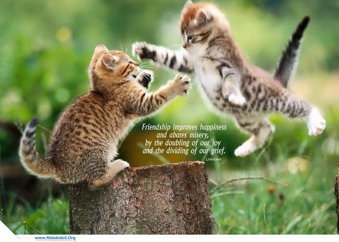 http://4.bp.blogspot.com/-Bqy7fLpwJ9k/UBAtXQc86eI/AAAAAAAAEYw/5YmNdWM_UVo/s1600/friendship+(5).jpg