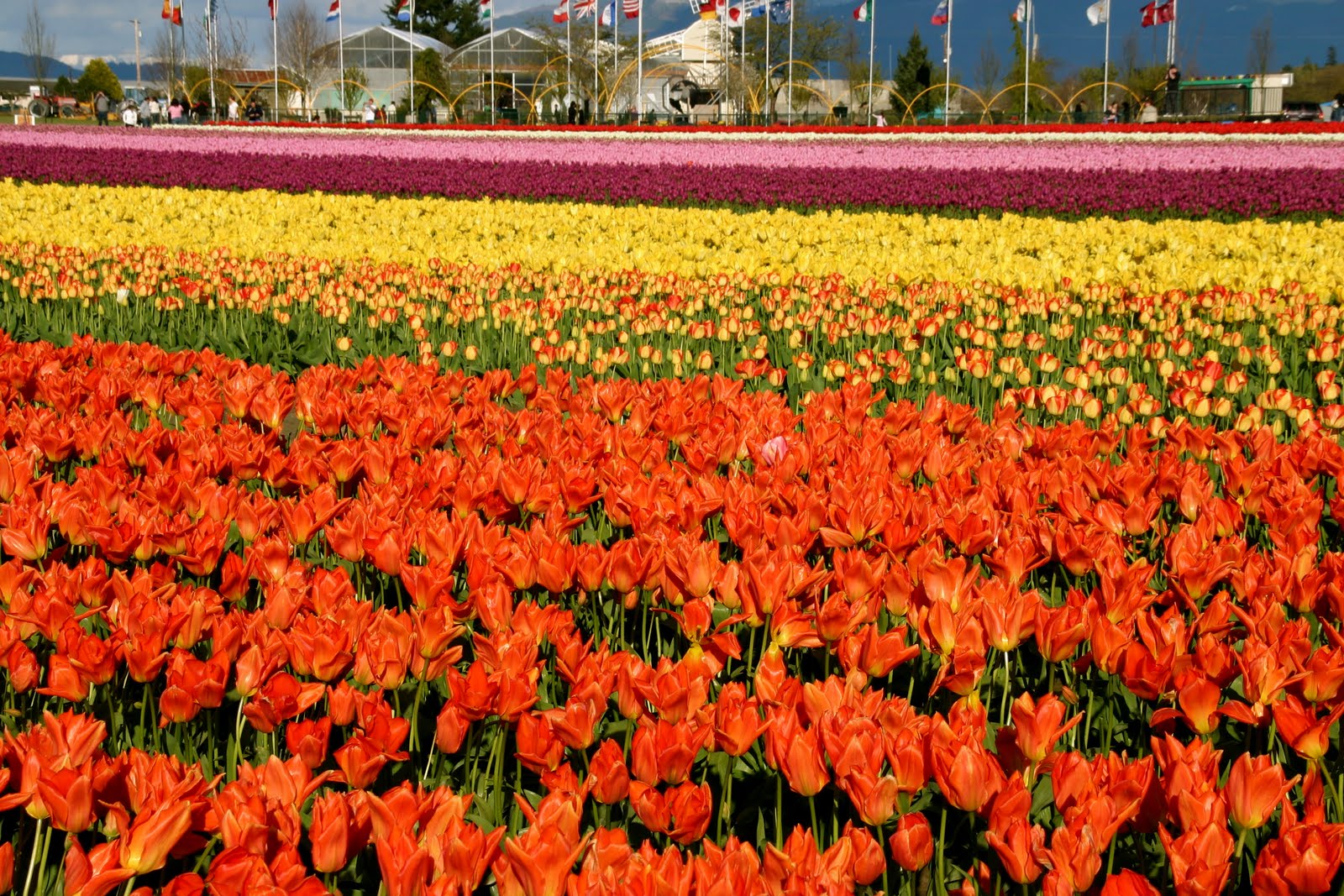 101 Uses for a Cardboard Box Spring Refresh