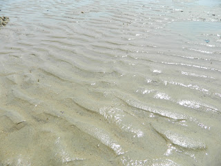 sand patterns on the beach 