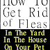 How To Get Rid Of Fleas In The Yard, House And on Your Pet - Free Kindle Non-Fiction