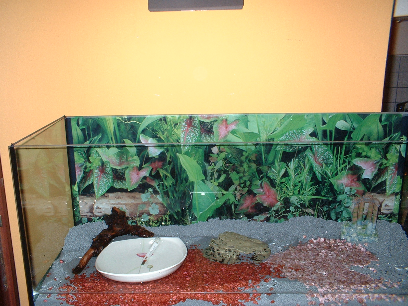 Regina's WATER SPIRITs: SPANNENDES AQUARIUM EINRICHTEN