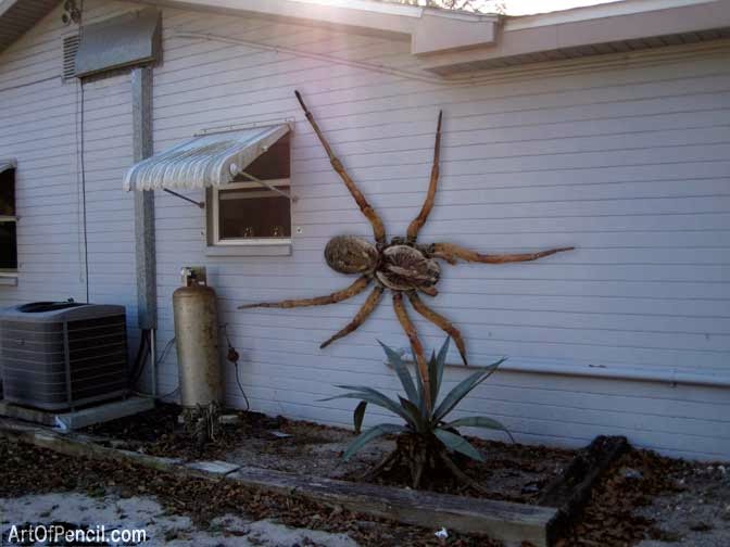 Angola+Witch+Spider Paul Santa Maria / inclusion here strictly on Fair Use/non-commercial ...