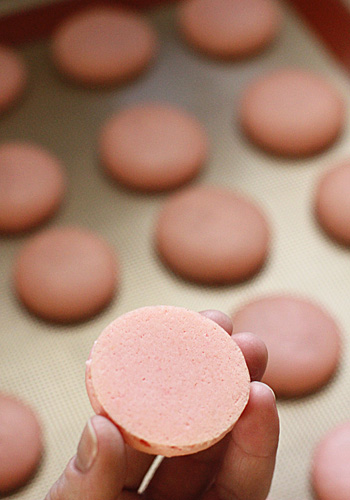 The Galley Gourmet: Raspberry Chocolate French Macarons