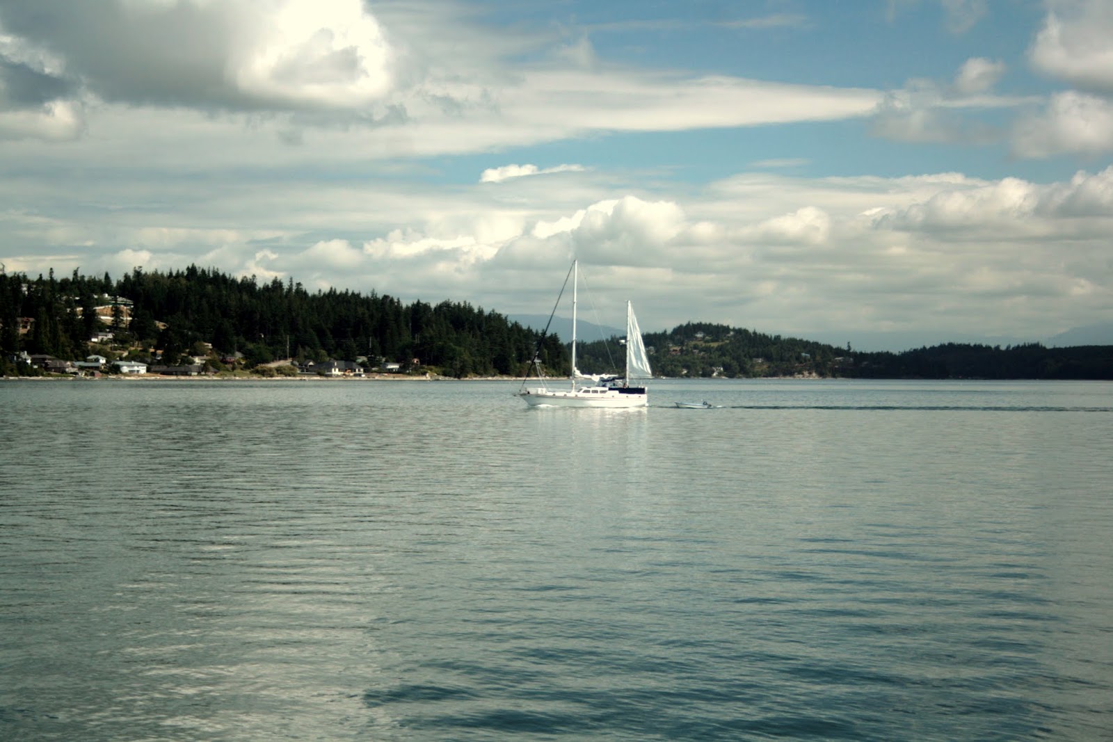 Stillhowlyntravels Tis The Season...for Dungeness Crab