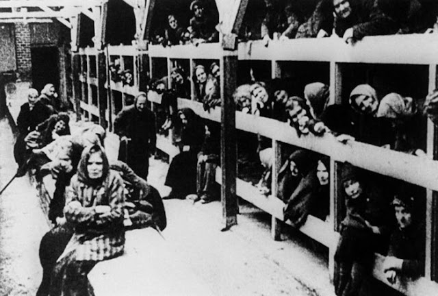 Campos de la Muerte de Auschwitz