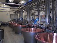 Boilers for the cheese production