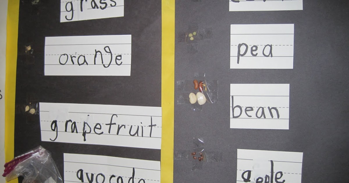 News from 201: Plant and Seed Activities