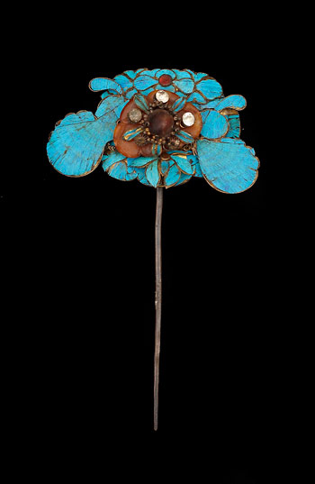 Kingfisher Feathers