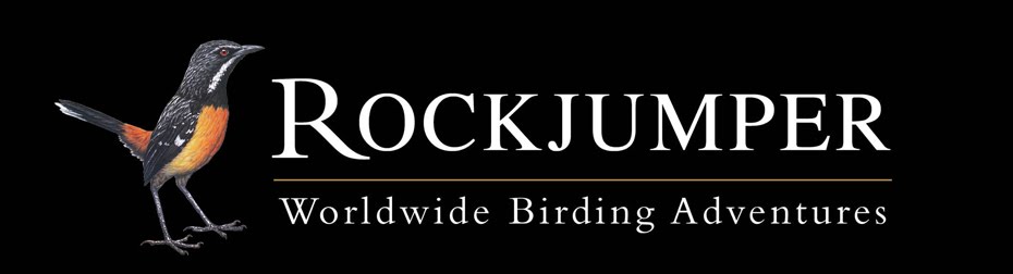 Rockjumper - Worldwide Birding Adventures