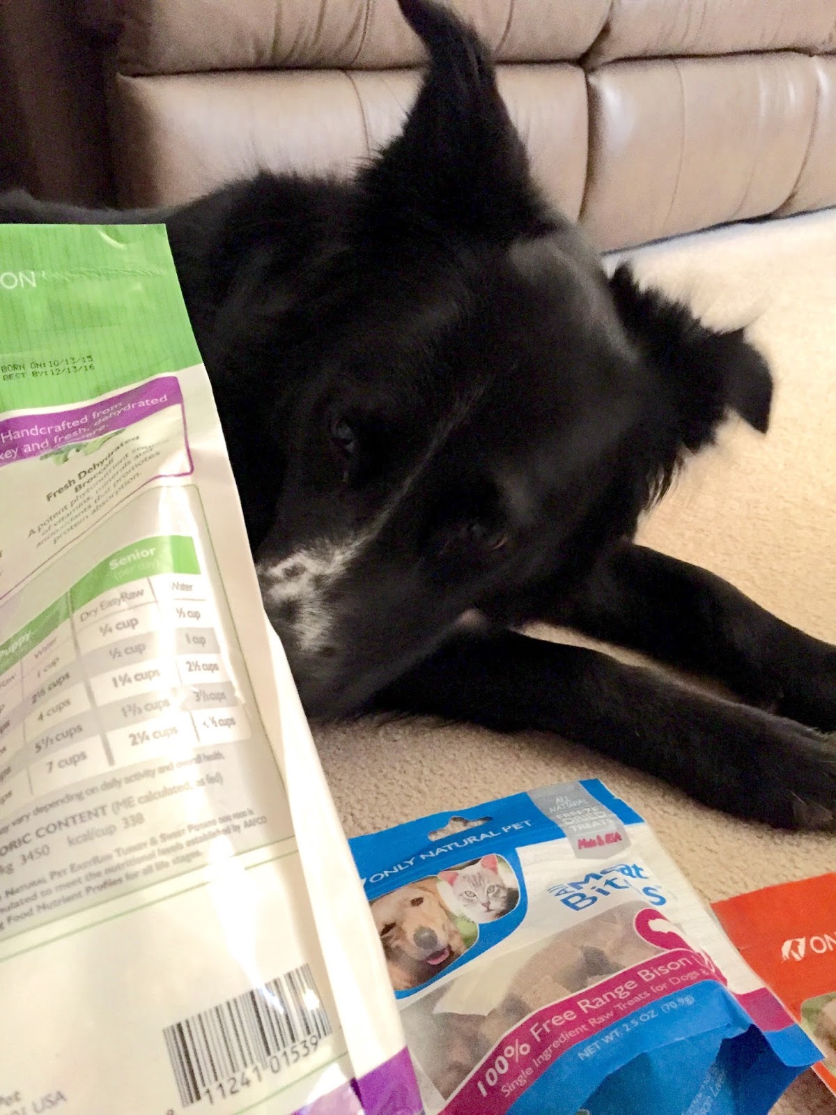 The Simple Life Only Natural Pet Paleo Pet Food FAQ