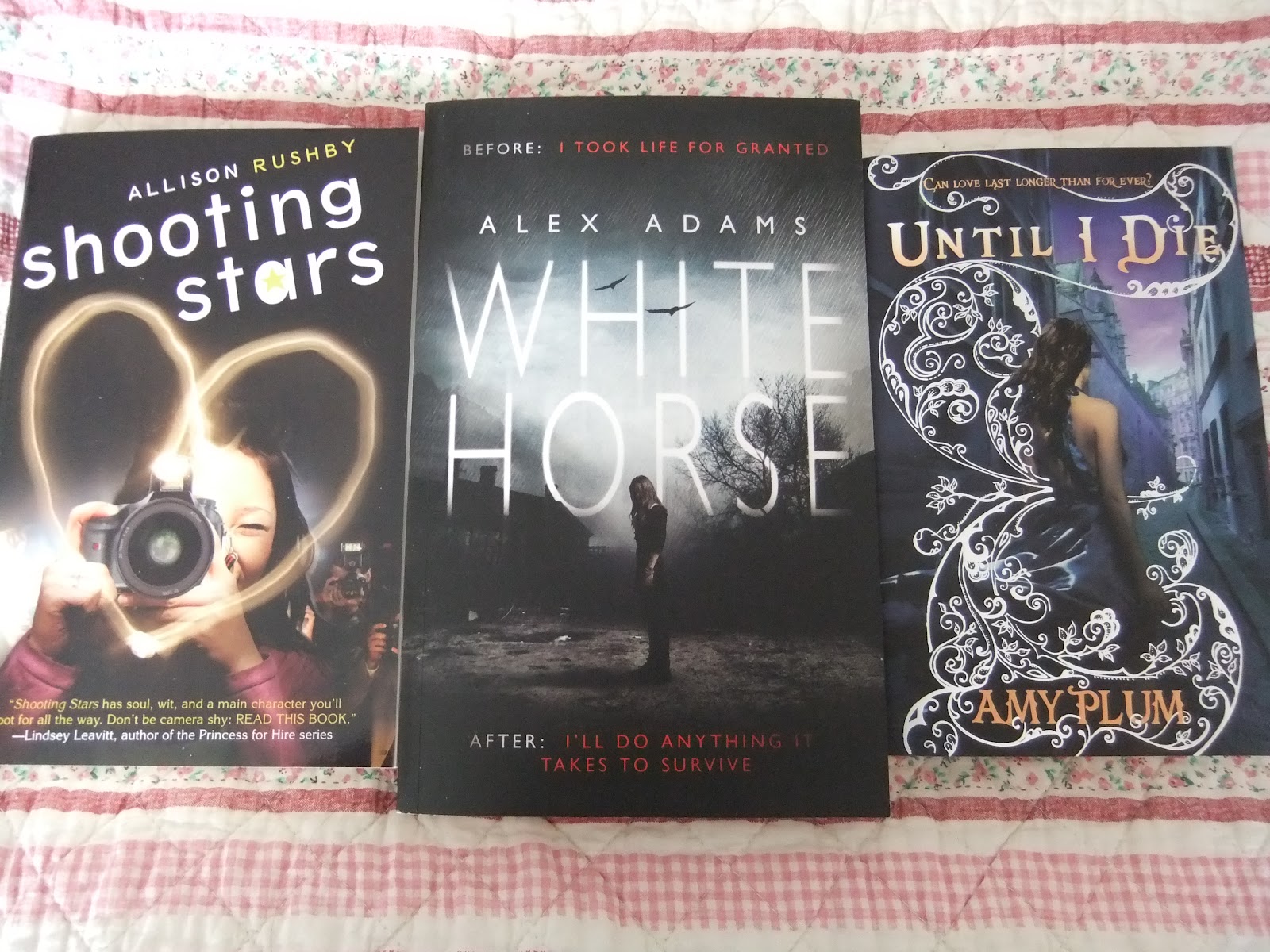 Shooting stars allison rushby sharetermpapers 04 image