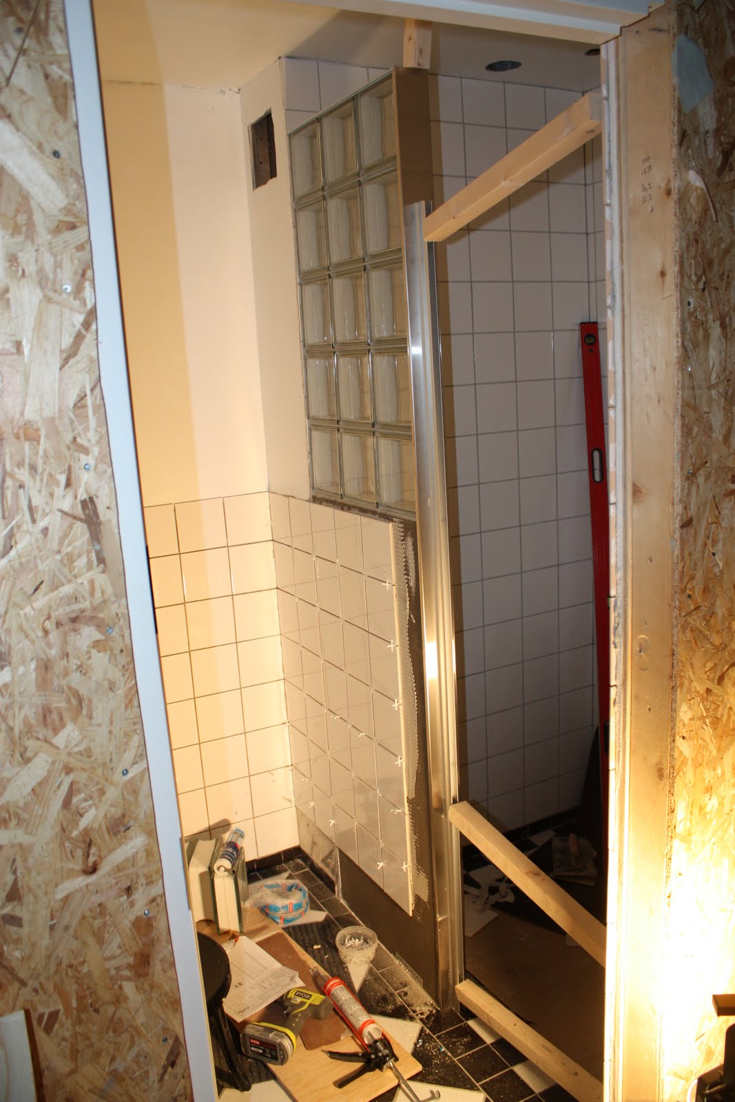 Drömmen om stenbäcken: februari 2011