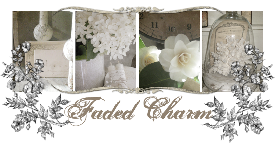 Faded  Charm