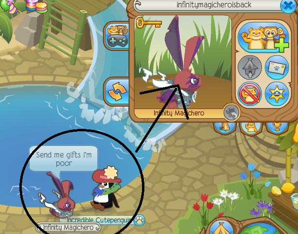 Animal Jam Animal Jam Infinitymagicheroisback Caught Scamming