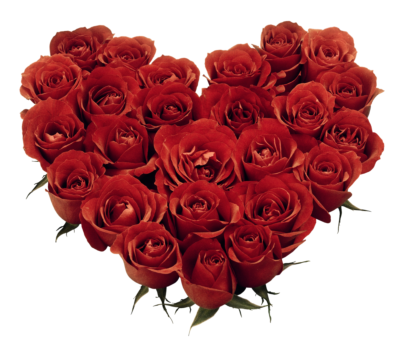 http://4.bp.blogspot.com/-BsxVLDBJ_OU/TjVahJfBVPI/AAAAAAAADR4/cdXbC7buPdM/s1600/189405848b98.png
