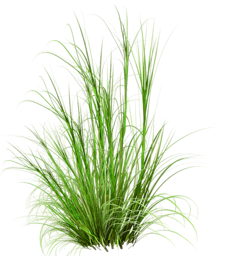 download Exotische Zinsswaps: Bewertung, Hedging
