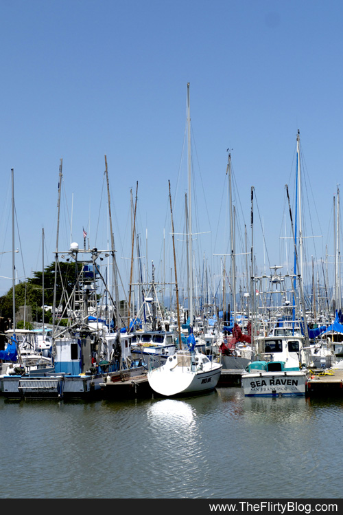 single women in moss landing Moss landing boasts numerous delightful, critically acclaimed restaurants - many restaurants purchase their seafood directly from the local commercial fishermen. single women in moss landing Moss landing boasts numerous delightful, critically acclaimed restaurants - many restaurants purchase their seafood directly from the local commercial fishermen.