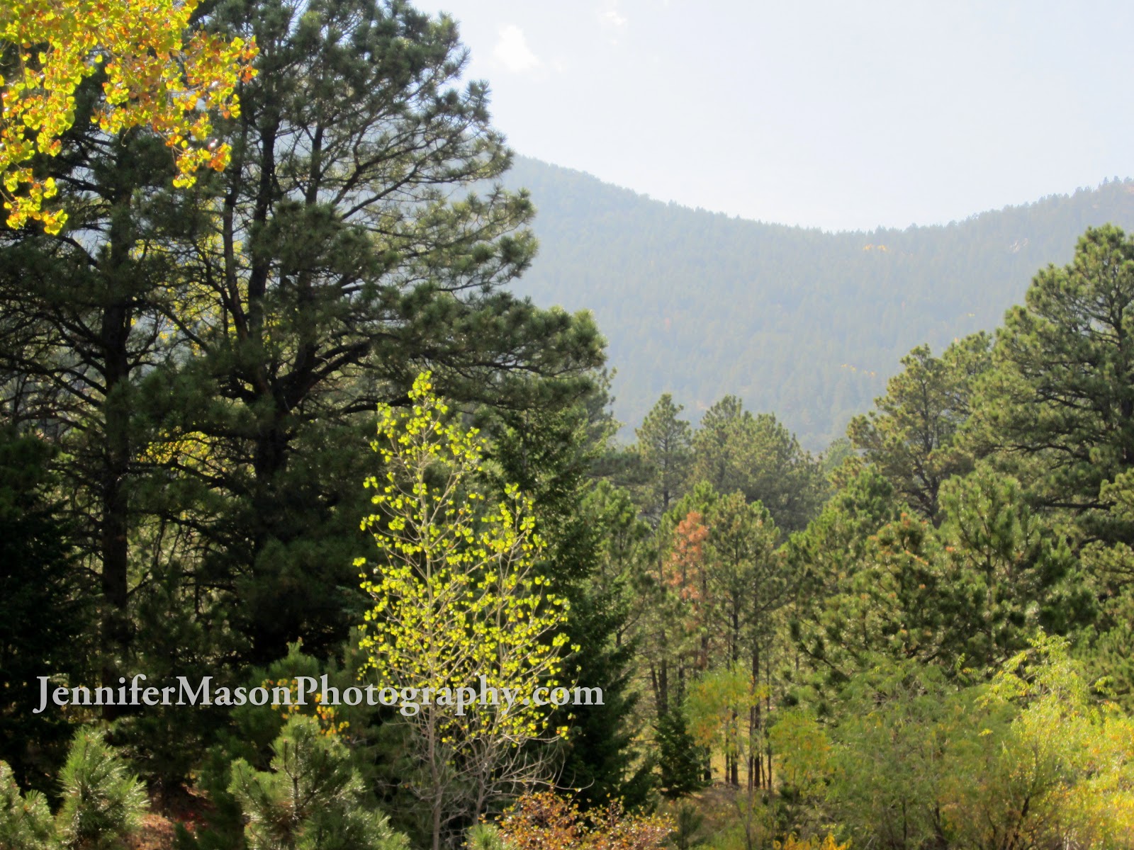 Trail and Park Reviews Hiking a social trail in Coal Creek Canyon