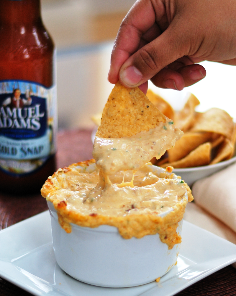 The Bestest Recipes Online Warm Cheese & Beer Dip