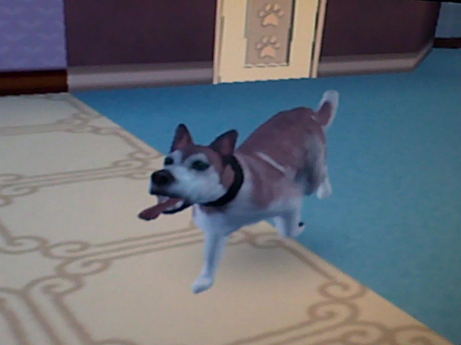 Dusty Diodes The Sims 2 Pets