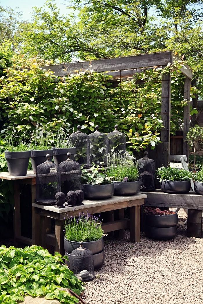 Creative Ideas: Home Gardens
