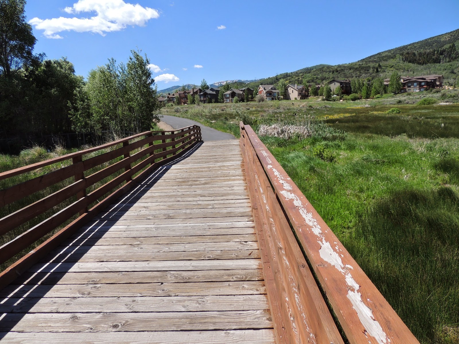 HoCo Connect Hiking the Millennium Trail