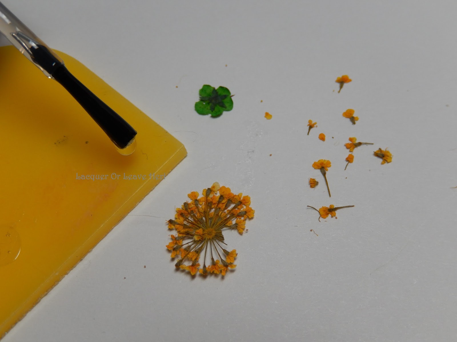 Lacquer or Leave Her! Tutorial Working with dried flowers )